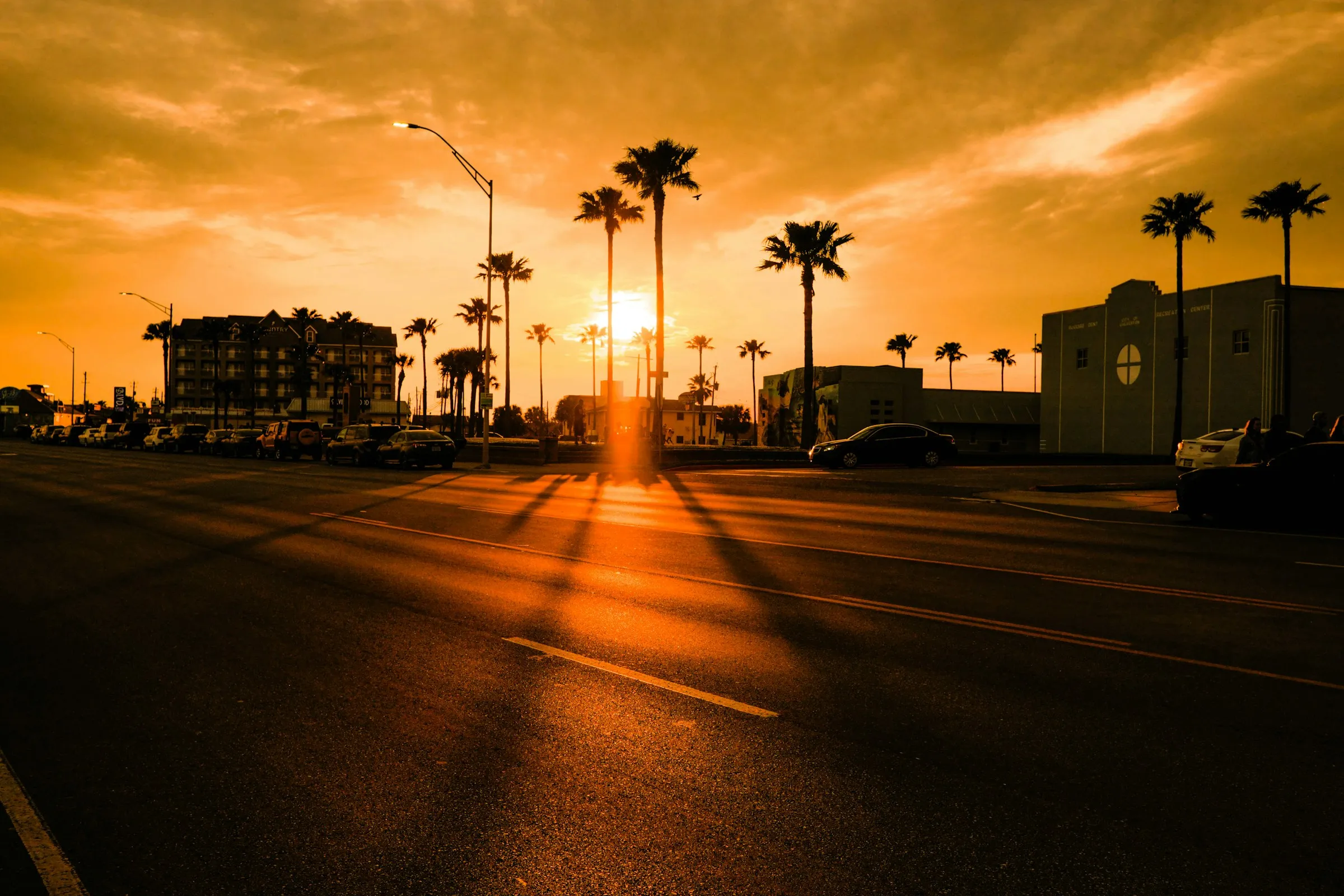 Una calle con palmeras al atardecer, con carros estacionados
