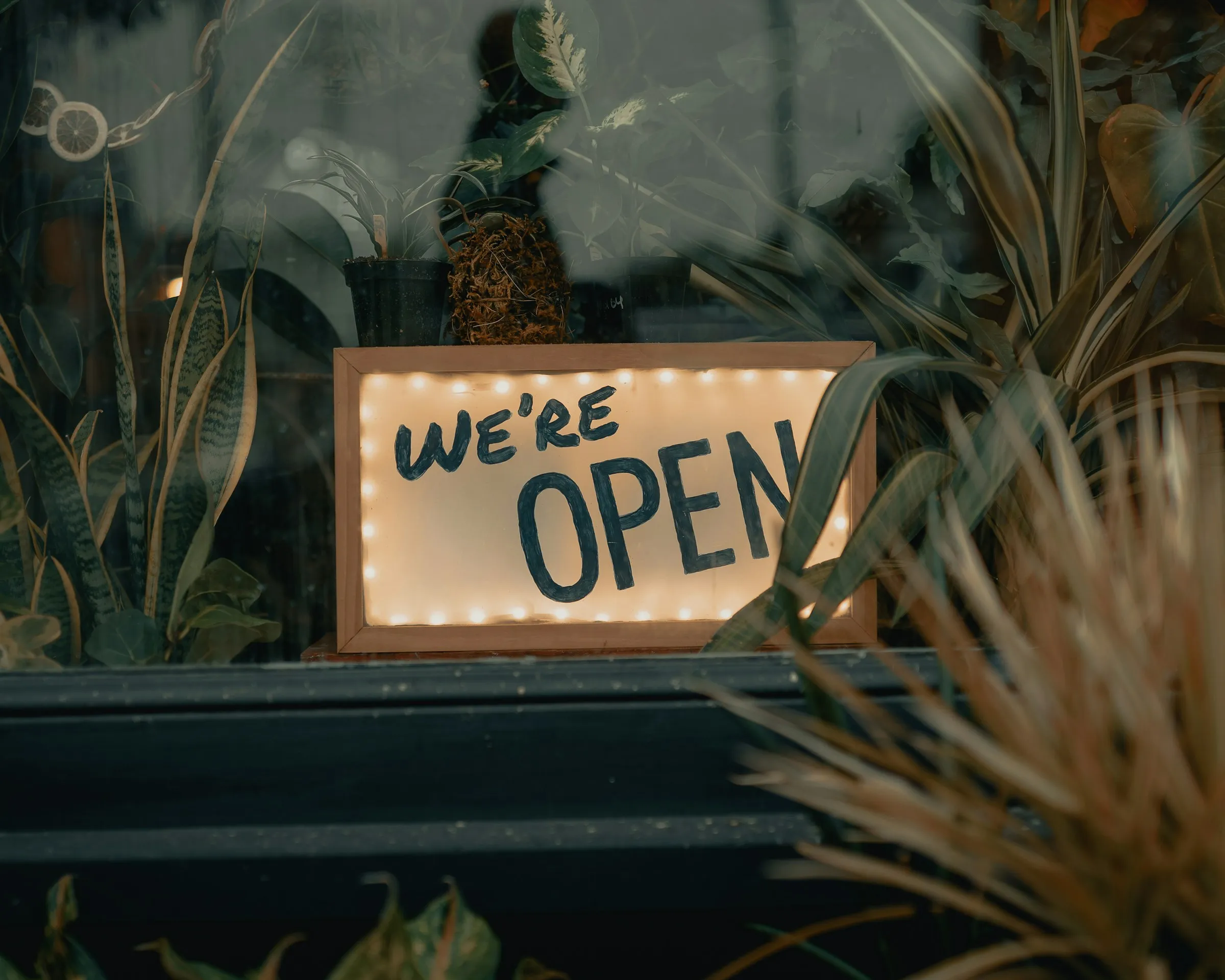 Un letrero iluminado de «We're open» en la vitrina de un negocio, entre plantas